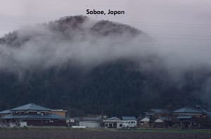 MO49_022-025_d_in_tokyo.indd