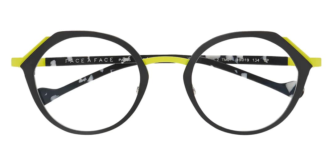 monture optique homme femme face a face memfis 2metal kaki vert branche acetate grise